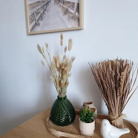 L'annexe Des Dunes Διαμέρισμα *